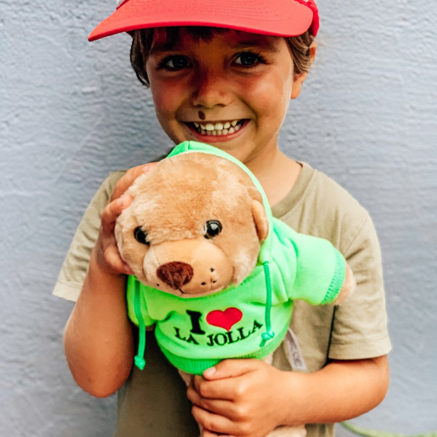 PLUSH ANIMAL - Sea Lion Stuffed Animal with "I love La Jolla" Hoodie